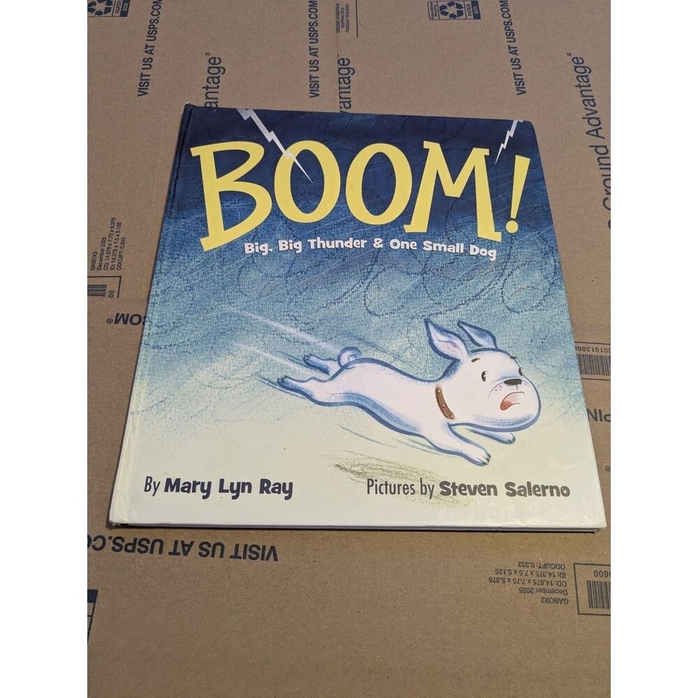 BOOM! Big Thunder One Small Dog Mary Lyn Ray Disney Hardcover Book